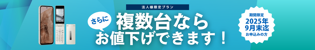 houzinkeitai_hukusudai_cp