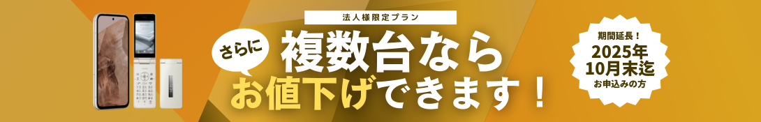 houzinkeitai_hukusudai_cp